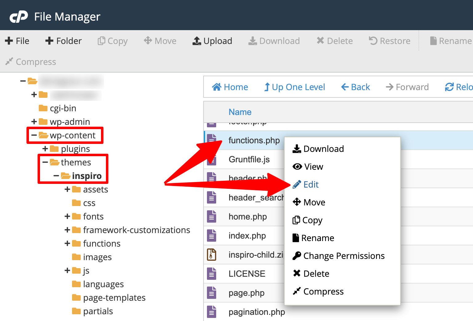 cPanel > Edit functions.php