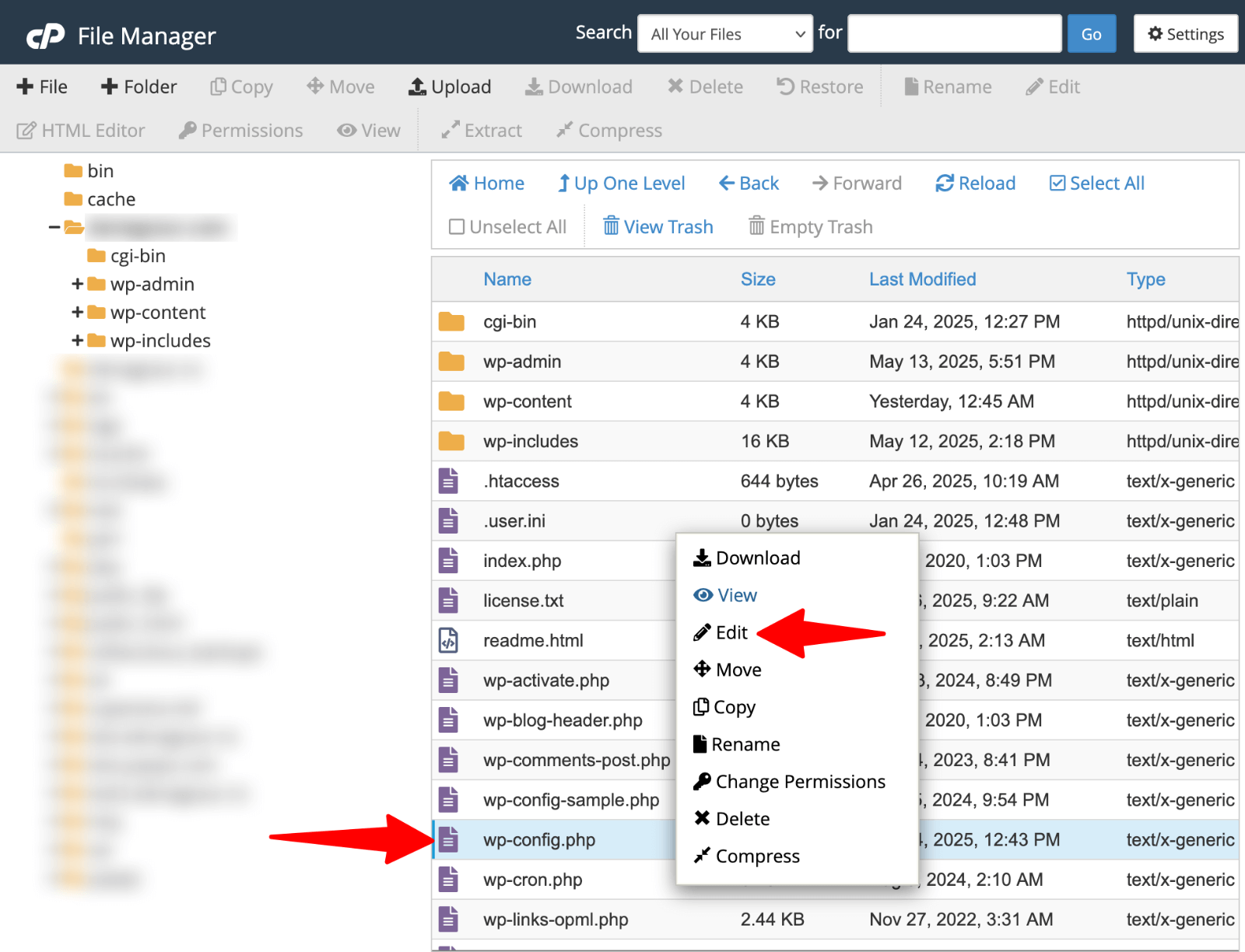 Edit wp-config.php in cPanel