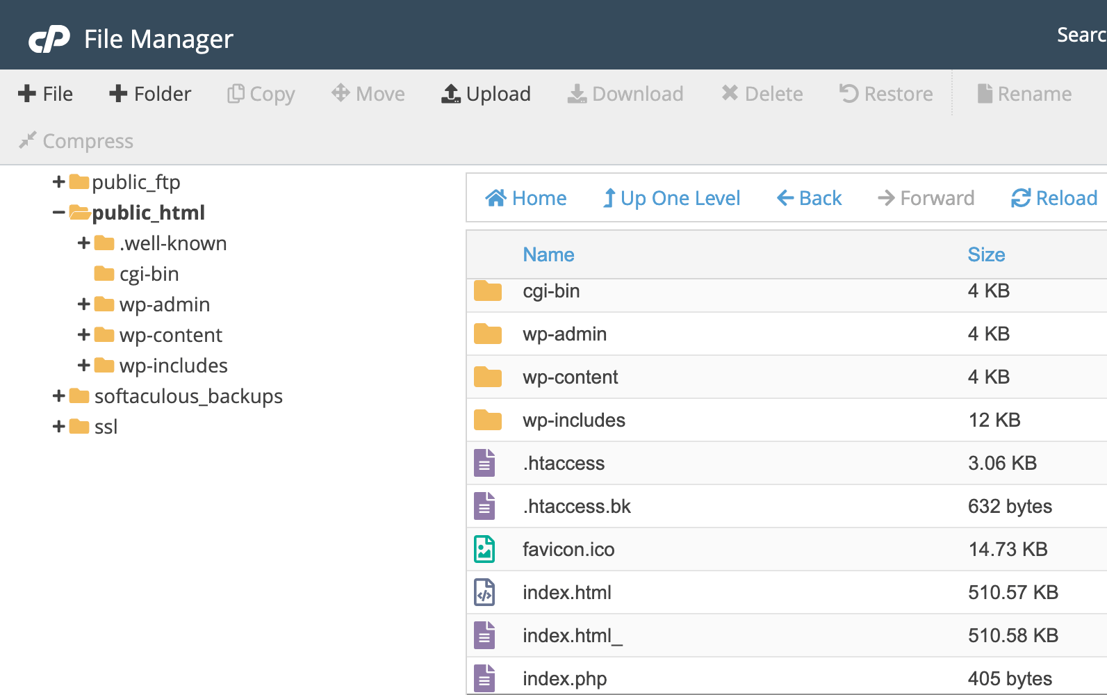 cPanel public_html folder
