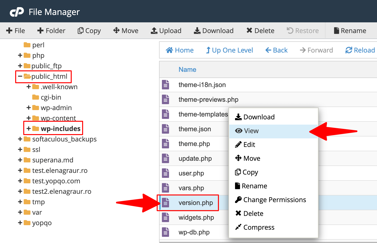 Version.php in cPanel