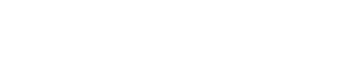 wpzoom logo png